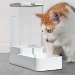 Automatic Cat Water Dispenser