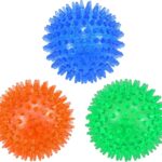 Squeaky Dog Ball Toys 3-Pack